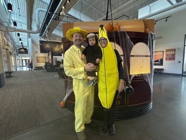 article image - Image 16